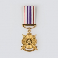 medal-the-conspicuous-gallantry-medal_0