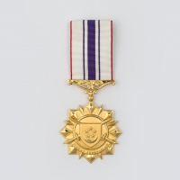 medal-the-medal-of-valour_0