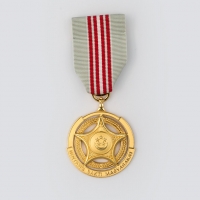 medal-the-public-service-star