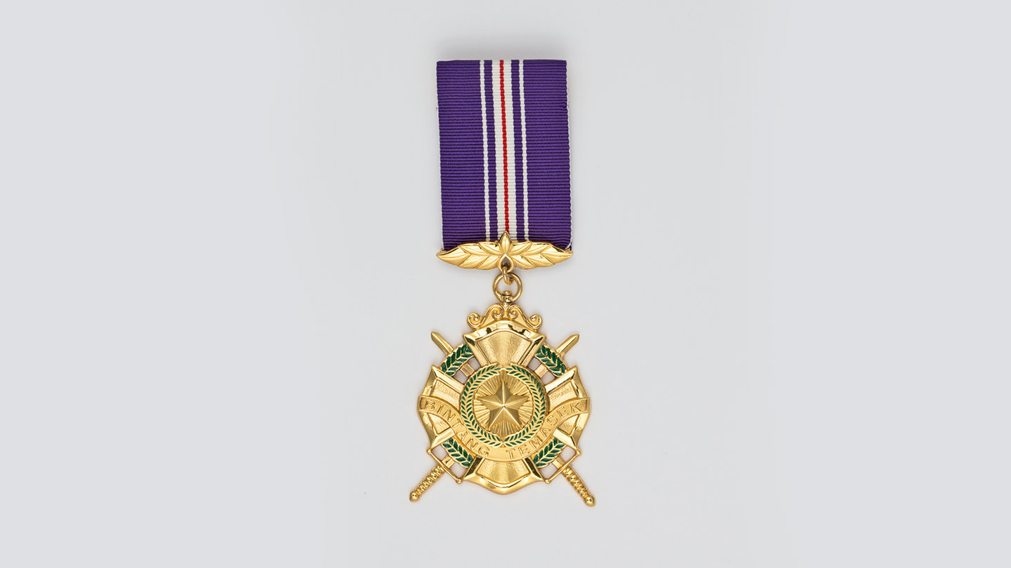 medal-the-star-of-temasek