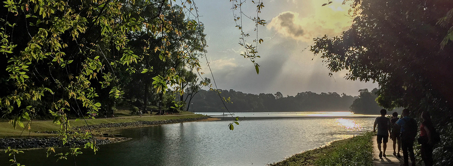 Macritchie Reservoir (Photo by PM Lee)