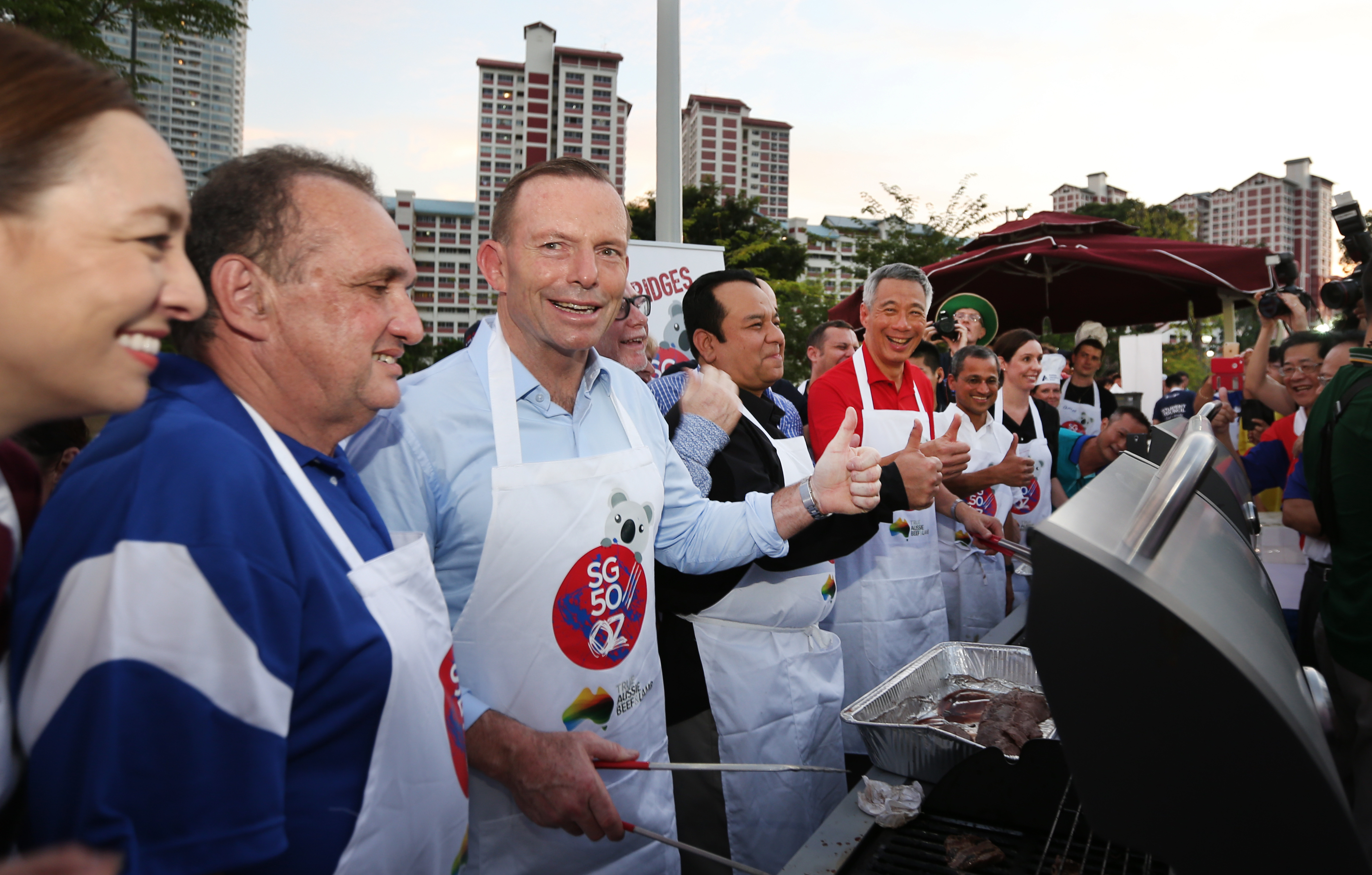 Official Visit by Australian Prime Minister Tony Abbott - Jun 2015 (MCI Photo Terence Tan)
