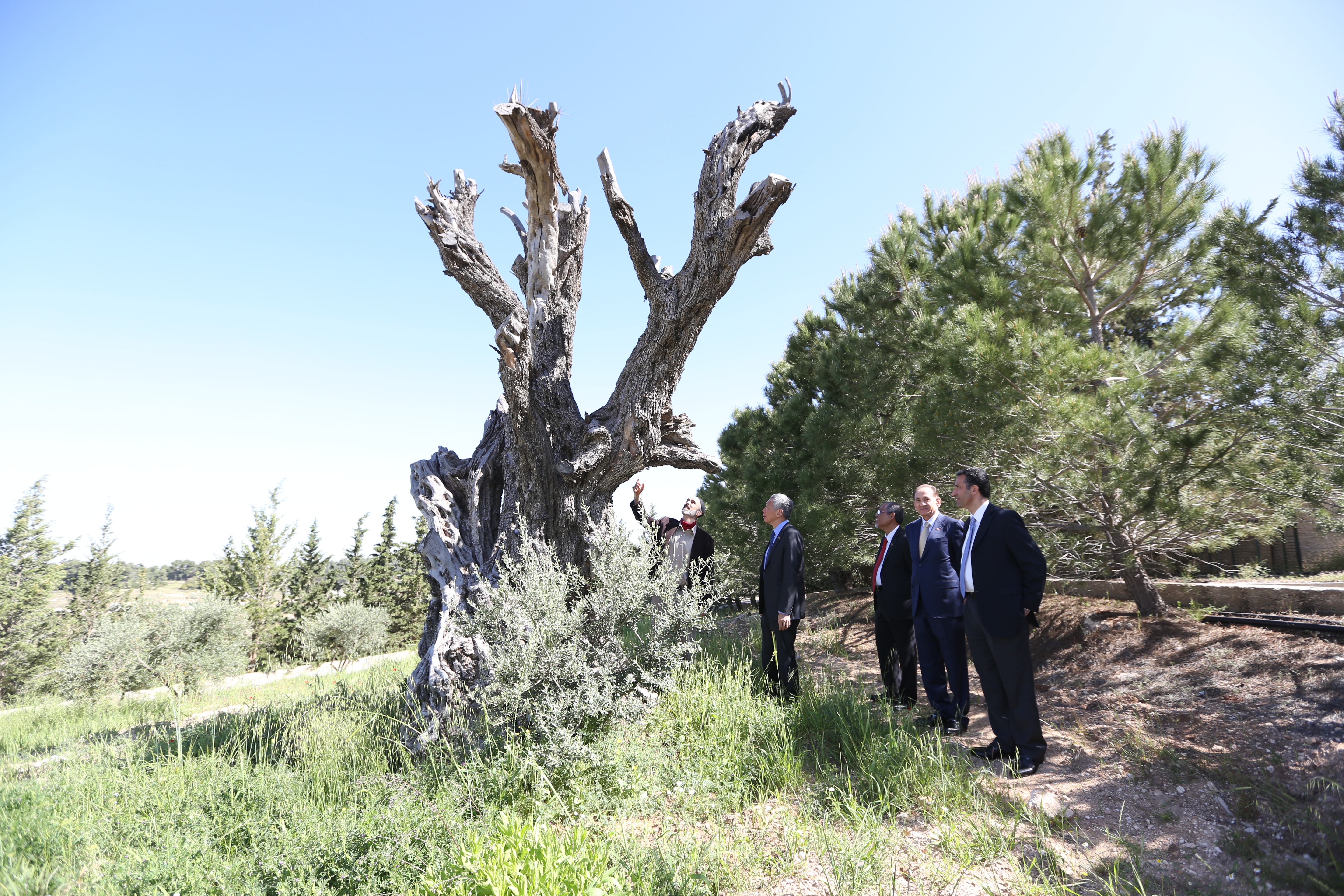 Visit of Prime Minister Lee Hsien Loong to Jordan on 16 to 18 Apr 2016 (MCI Photo by Chwee)